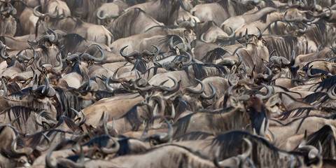 3-Day Mara Luxury Experience