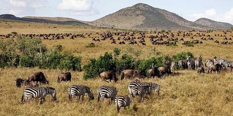 Amboseli Tsavo West from Mombasa