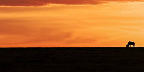 4-Day Luxury Kenyan Bush and Zanzibar Beach Adventure