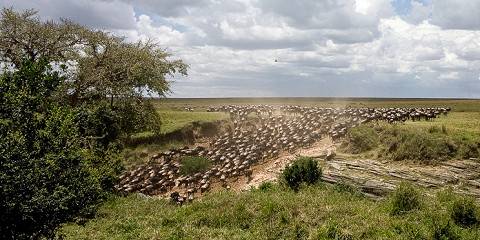 6-Day African Wildlife Private Safari
