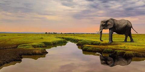 3-Day Fly-in Package to Basecamp Masai Mara