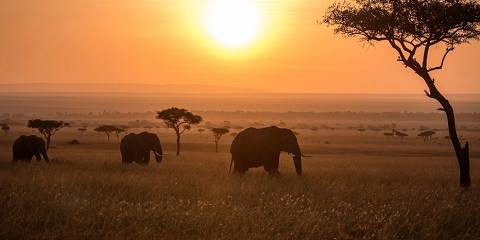 5-Day Lakes & Masai Mara Wildlife Adventure - 2026