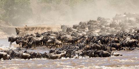 10-Day Luxury Bush Adventure & Diani Beach