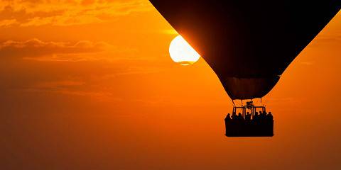 7-Day Spectacular Safari