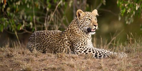 Kenya & Tanzania Stunning Budget Group Joining