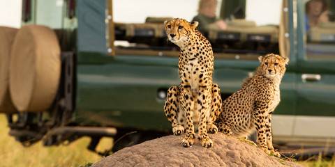 7-Day Midrange Kenya Safari Visit 4 Premium Destinations