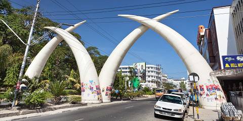 Coastal and Wilderness Wildlife Viewing Safari