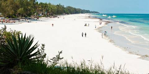 7-Day Wildlife and Beach Safari