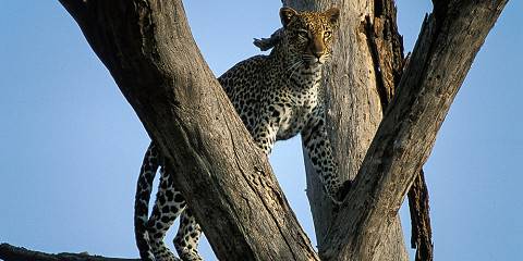 9-Day Kenya's Scenic Lakes & Untamed Wilderness Safari
