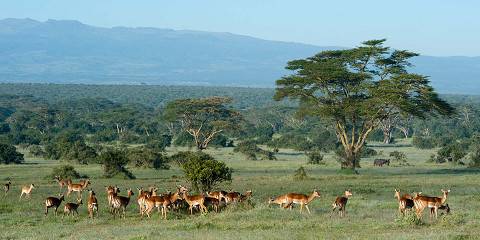 3-Day Exquisite Adventure to Masai Mara National Reserve