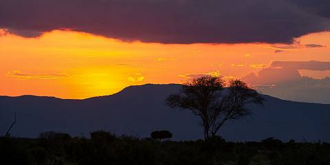 Masai Mara; Africa's Majestic Wildlife Paradise