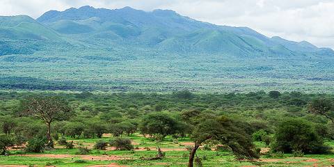 2-Day Private Safari to Tsavo West from Mombasa by Van