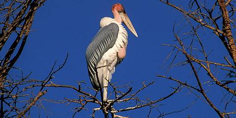 Taita Hills Wildlife Sanctuary
