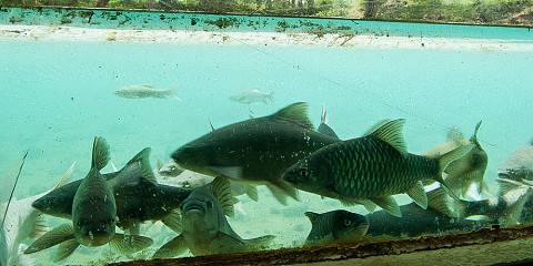 8-Day Game Drives & Golden Sands Safari in a Mini Van