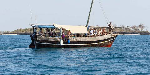 1-Day Wasini Boat-Sharing Tour, Dolphin-Snorkel-Sea-Food