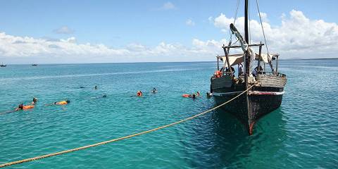 Wasini Island Dolphin & Snorkeling Tour