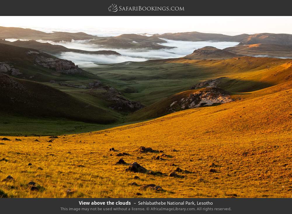 View above the clouds, Sehlabathebe NP in Sehlabathebe National Park, Lesotho
