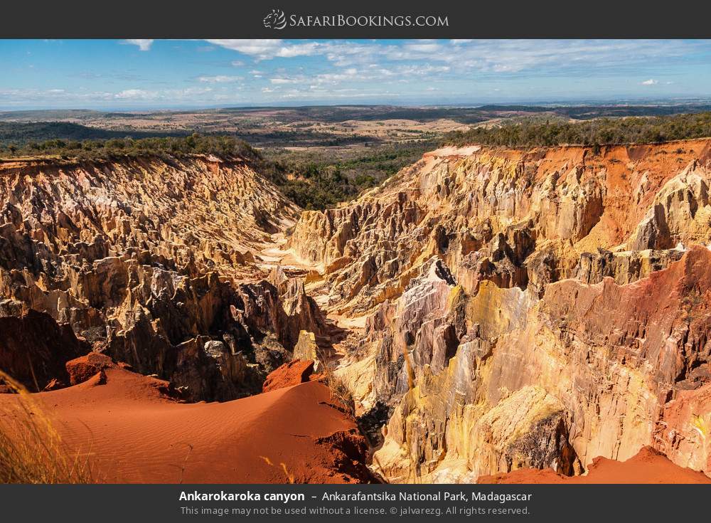 Ankarokaroka canyon, Ankarafantsika NP in Ankarafantsika National Park, Madagascar
