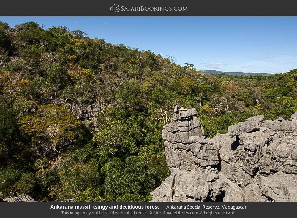 Ankarana massif, tsingy and deciduous forest in Ankarana Special Reserve, Madagascar