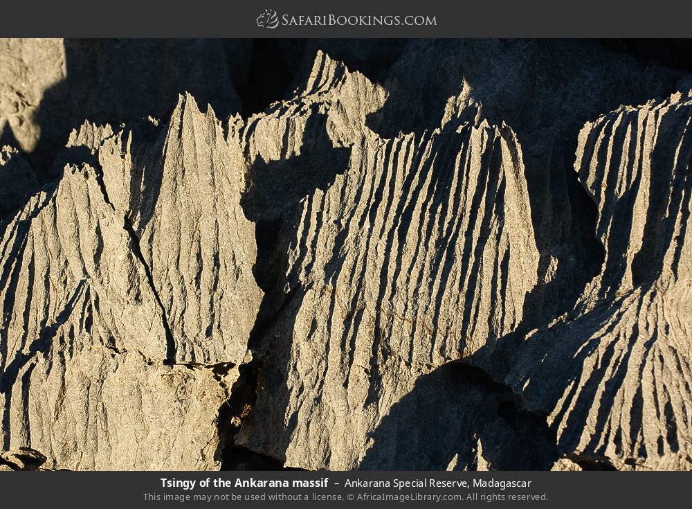 Tsingy of the Ankarana massif in Ankarana Special Reserve, Madagascar