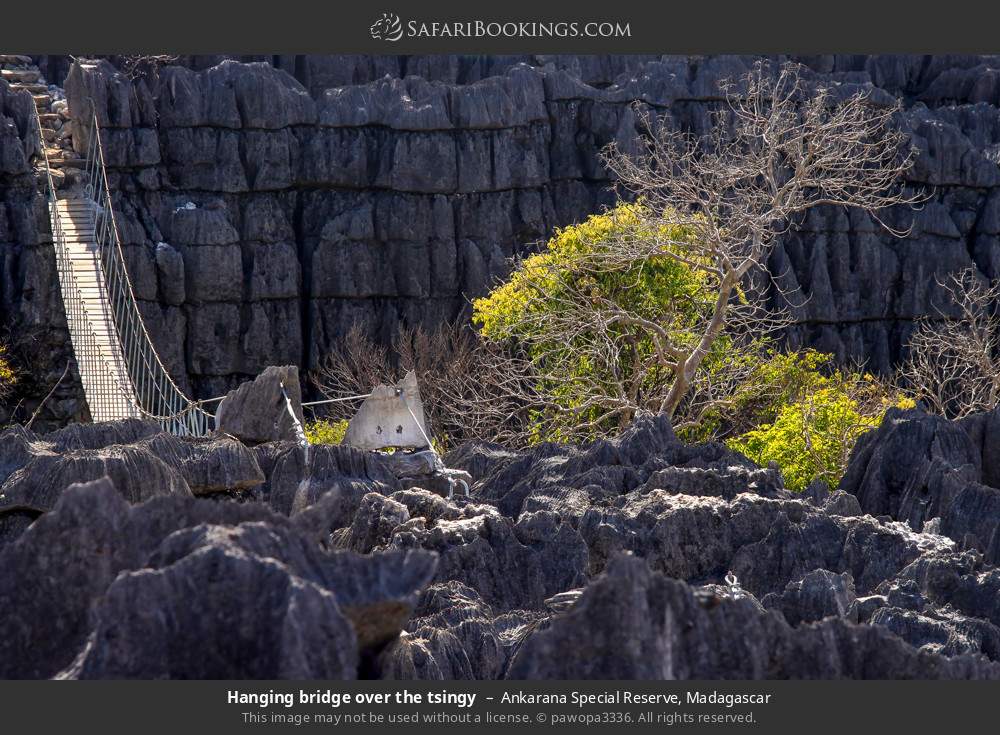 Hanging bridge over the tsingy in Ankarana Special Reserve, Madagascar