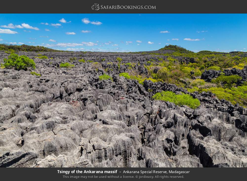 Tsingy of the Ankarana massif in Ankarana Special Reserve, Madagascar