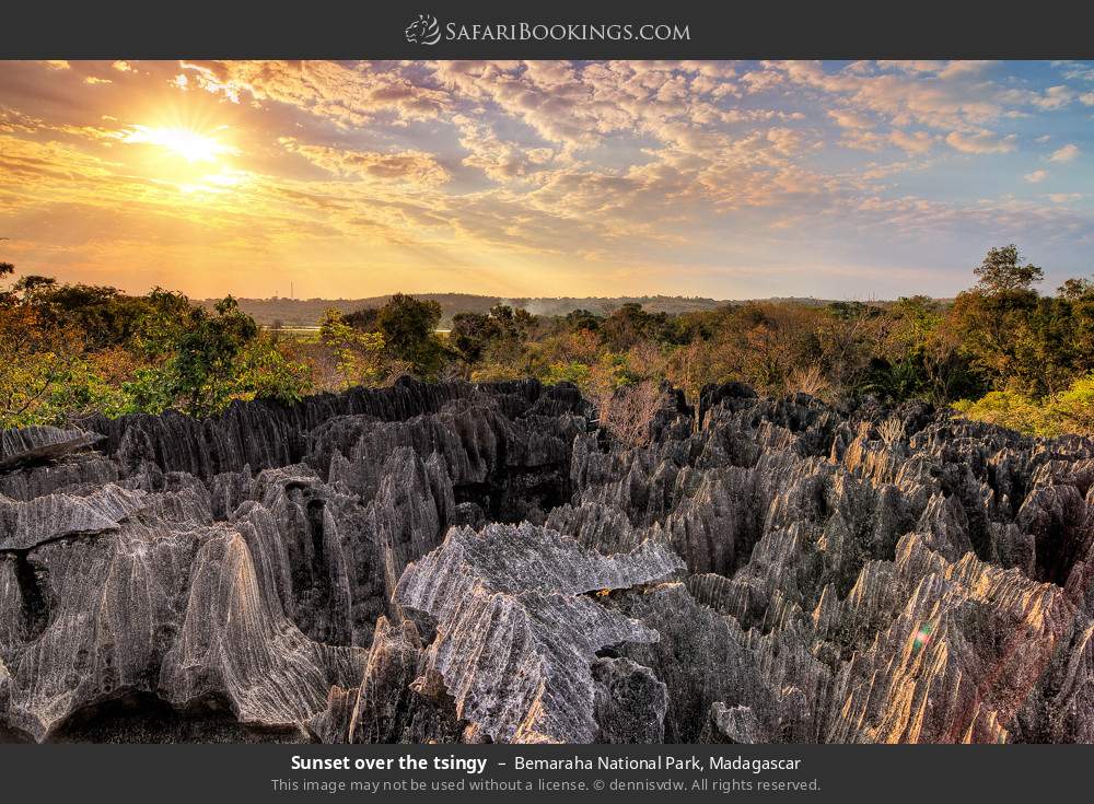 Sunset over the tsingy in Bemaraha National Park, Madagascar