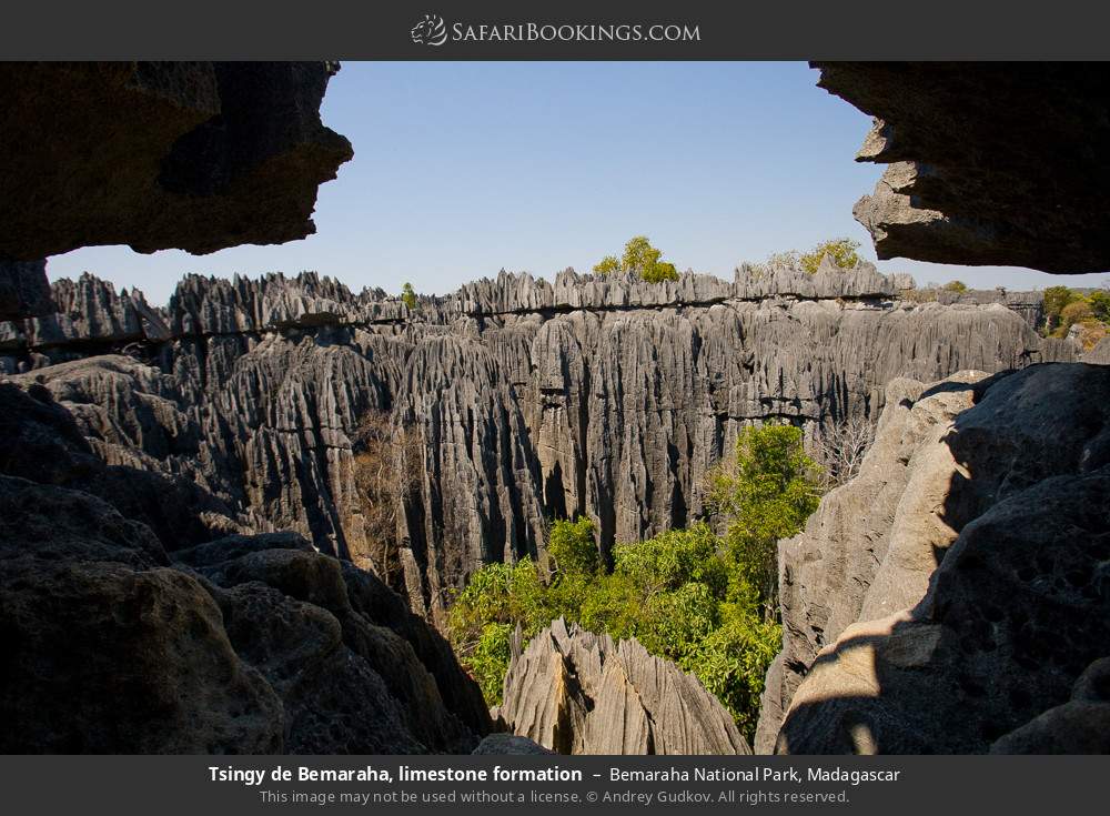 Tsingy de Bemaraha, limestone formation in Bemaraha National Park, Madagascar
