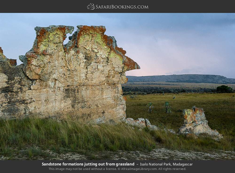 Sandstone formations jutting out from grassland in Isalo National Park, Madagascar