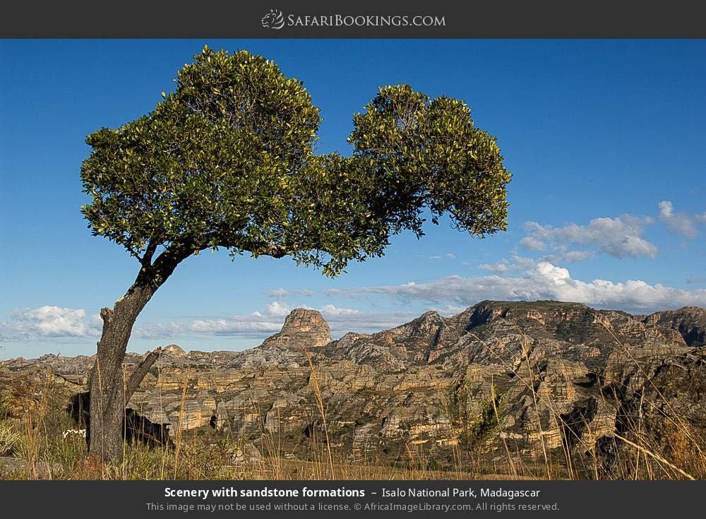Scenery with sandstone formations in Isalo National Park, Madagascar