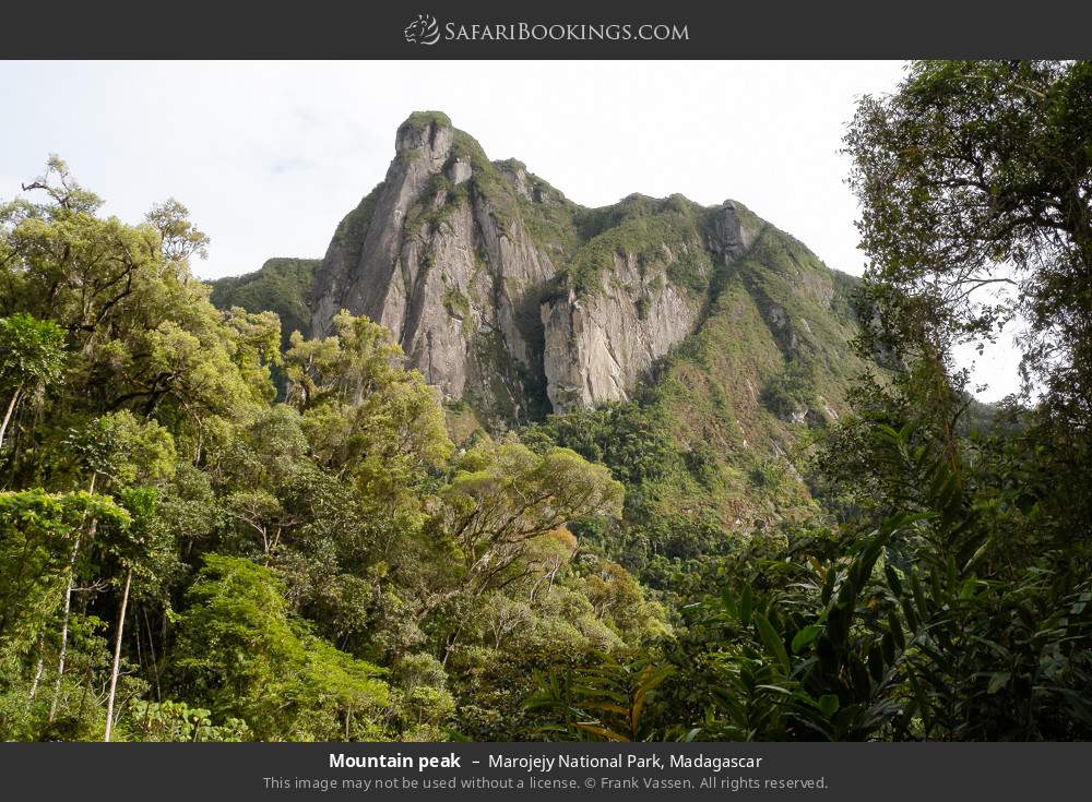 Mountain peak in Marojejy National Park, Madagascar