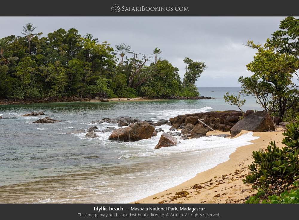 Idyllic beach, Masoala NP in Masoala National Park, Madagascar