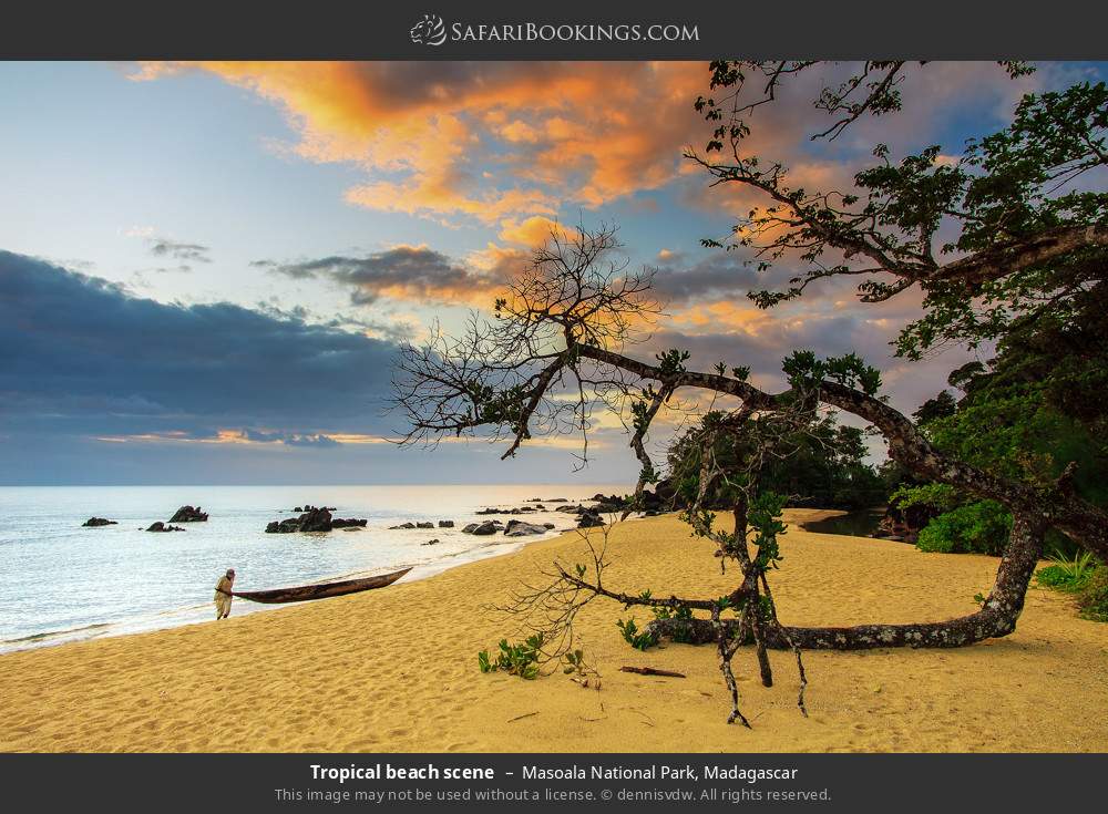 Tropical beach scene in Masoala National Park, Madagascar
