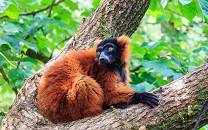 Masoala National Park