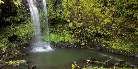 Madagascar Rainforests, Tsingy & Nosy Be Escape