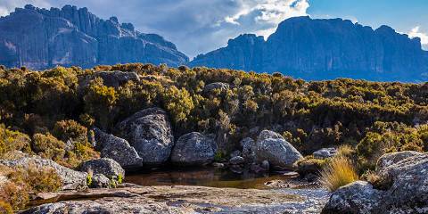 15-Day Best of Wildlife of Madagascar