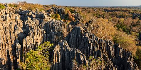16-Day Best of Madagascar