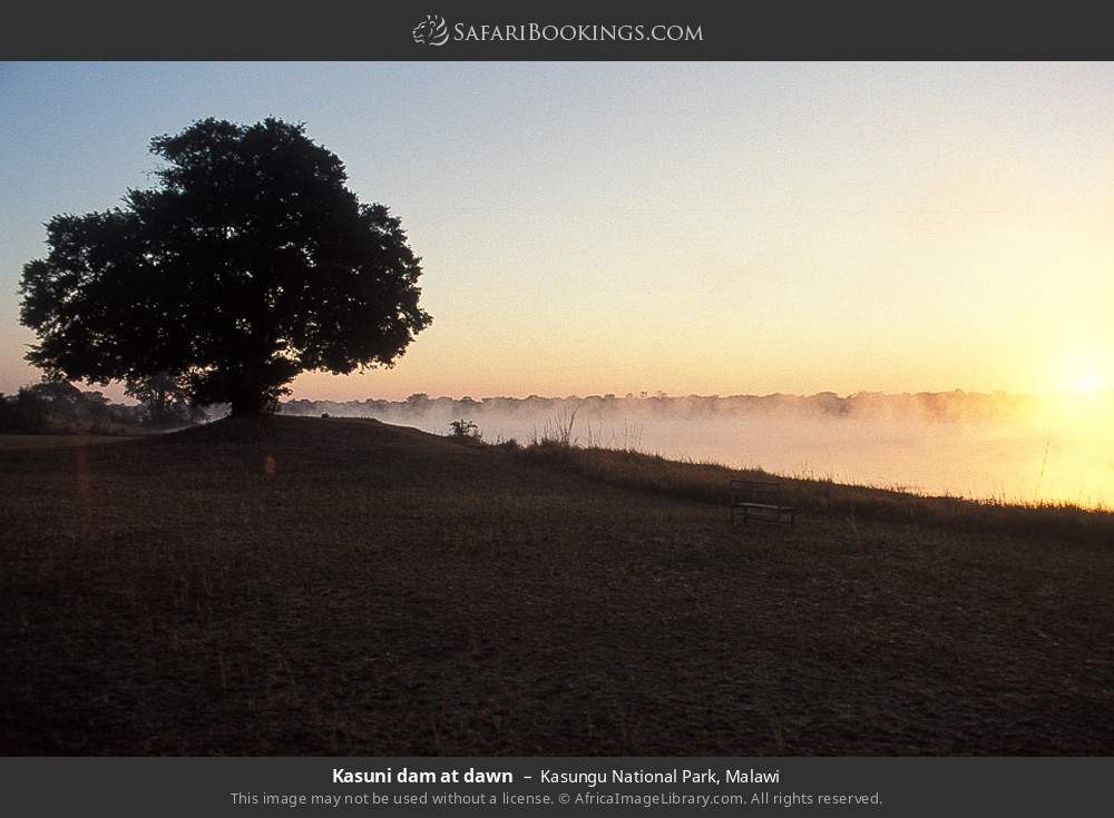 Lake Lifupa at dawn in Kasungu National Park, Malawi