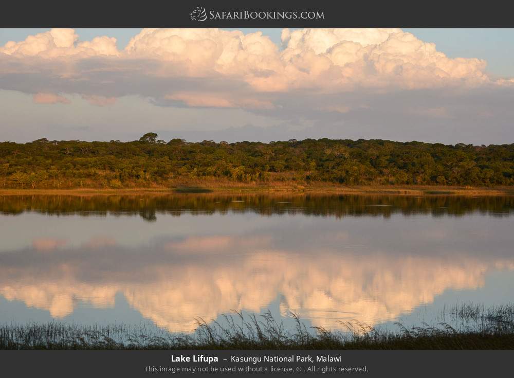 Lake Lifupa in Kasungu National Park, Malawi