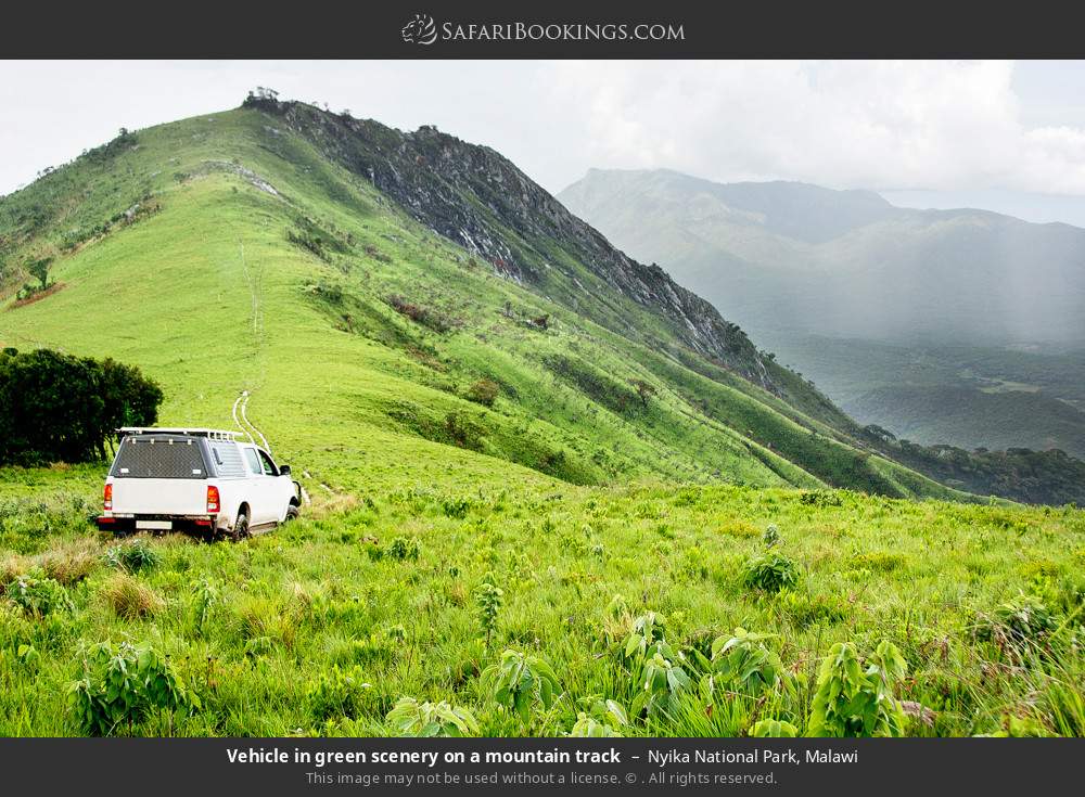 Vehicle on a mountain track in Nyika NP in Nyika National Park, Malawi