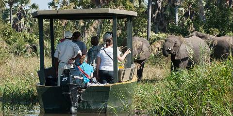 3-Day Liwonde National Park Safari Adventure