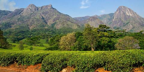 Southern Malawi Highlands Discovery