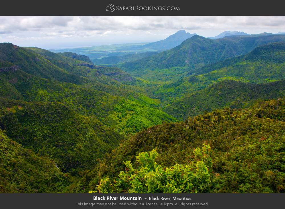 Black River Mountain in Black River, Mauritius
