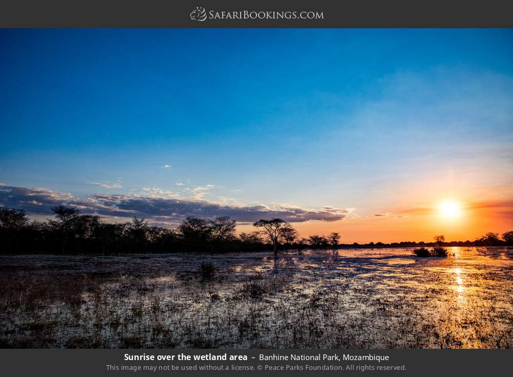 Sunrise over the wetland area in Banhine National Park, Mozambique