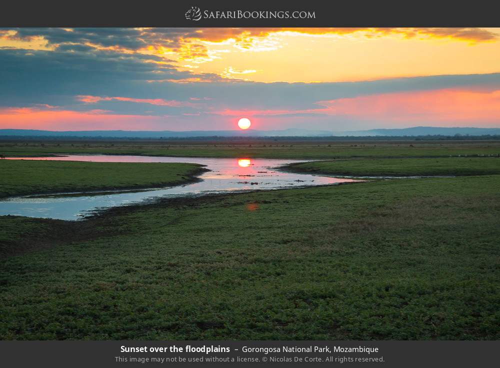 Sunset over the floodplains in Gorongosa National Park, Mozambique