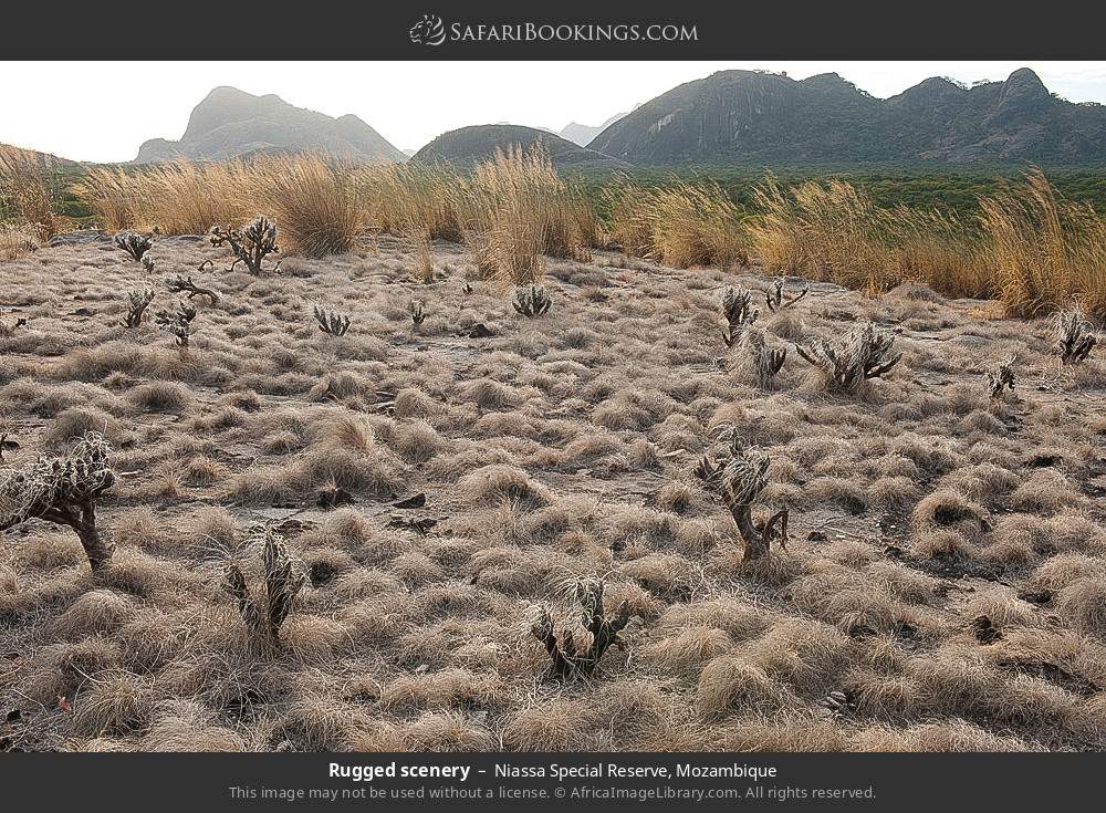 Rugged scenery in Niassa SR in Niassa Special Reserve, Mozambique