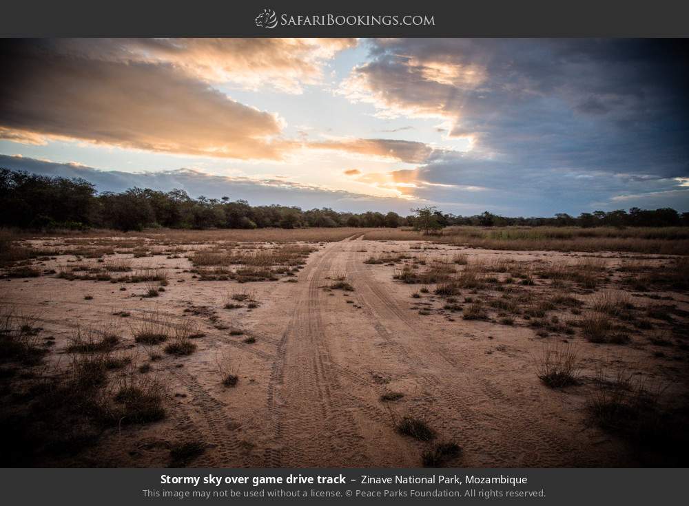 Stormy sky over game-drive track in Zinave National Park, Mozambique