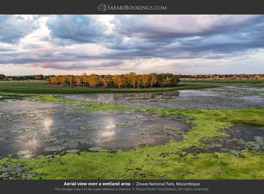 Aerial view over a wetland area in Zinave National Park, Mozambique