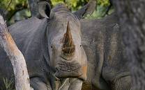 Zinave National Park