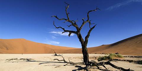Best of Namibia